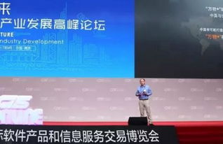 第十三屆中國南京軟博會(huì)開幕，聚焦互聯(lián)網(wǎng)信息服務(wù)新趨勢